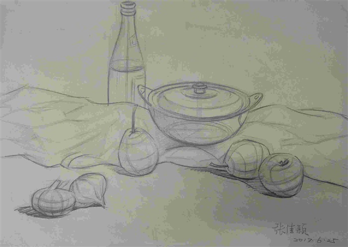 素描静物-张佳颖