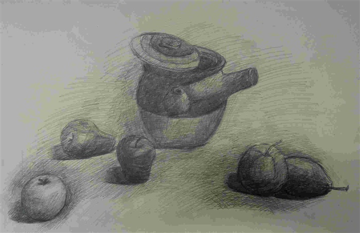素描静物-马佳佳